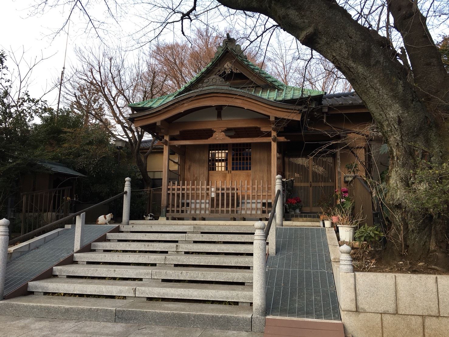 猫地帯の法明寺(ほうみょうじ)の安国堂