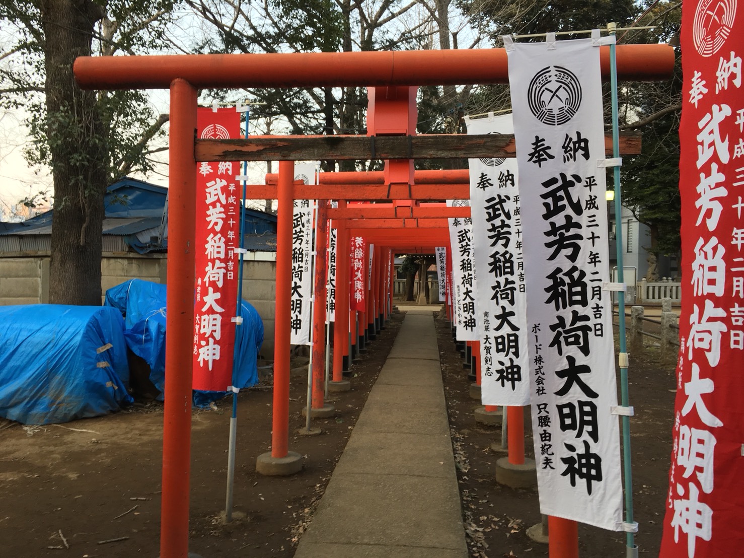 猫地帯の法明寺(ほうみょうじ)の武芳稲荷堂への鳥居