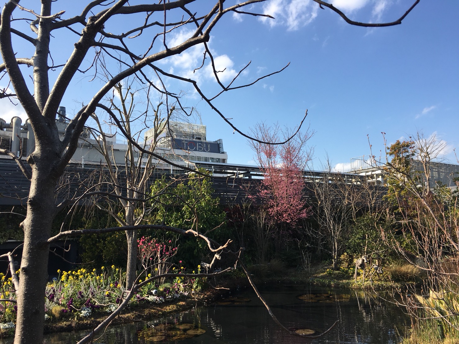 西武池袋本店の空中庭園の睡蓮の庭5