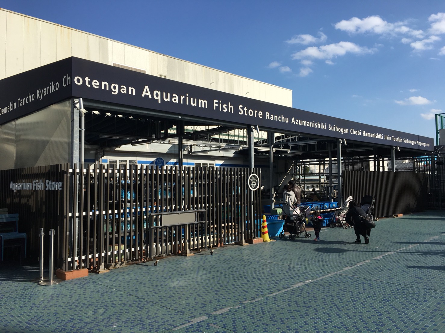 西武池袋本店の空中庭園のフィッシュショップ