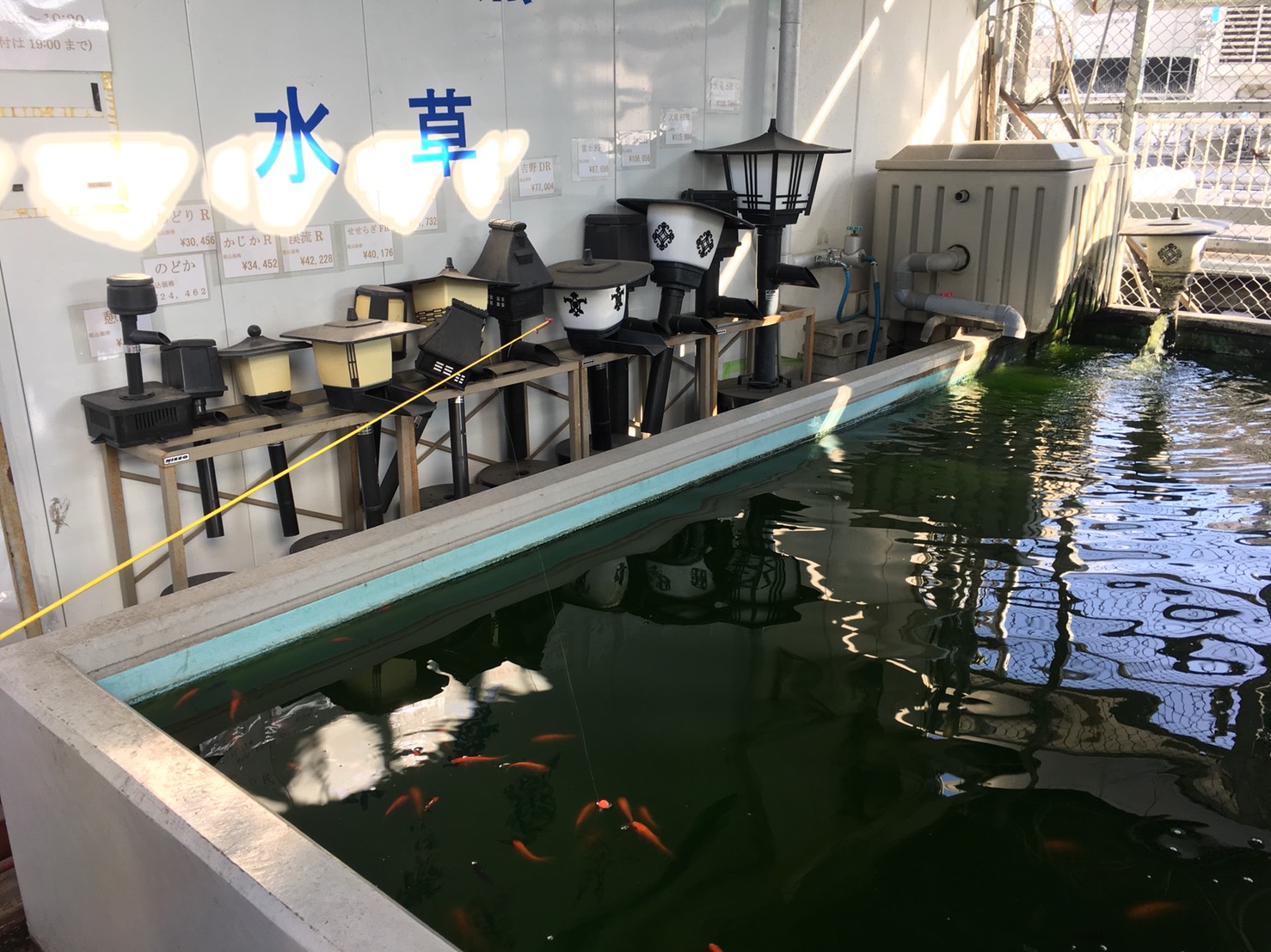 西武池袋本店の空中庭園のフィッシュショップの釣り堀