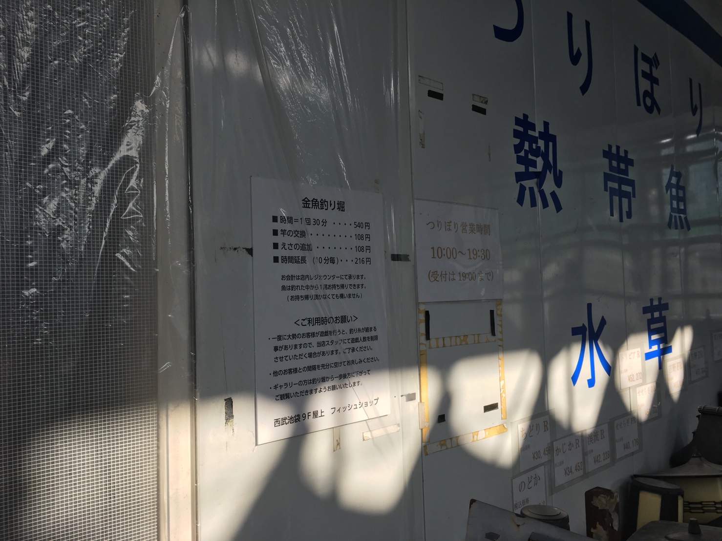 西武池袋本店の空中庭園のフィッシュショップの釣り堀