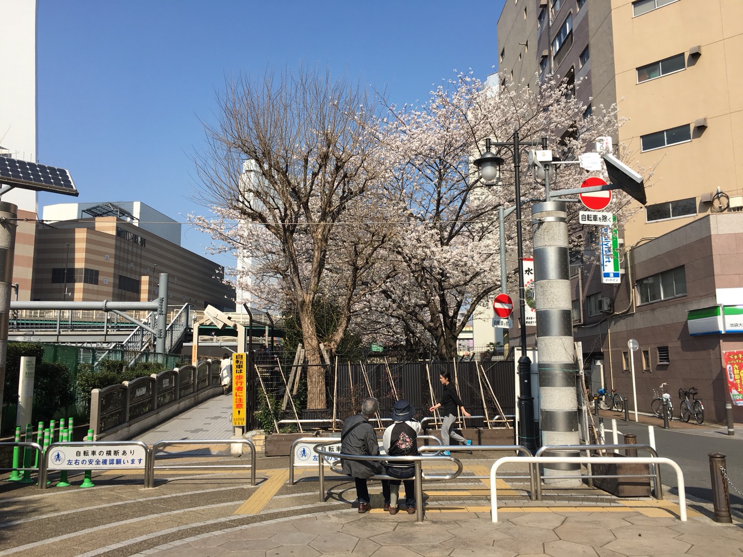 【池袋駅】春爛漫!桜を見に行こう!池袋東口の満開コースの池袋駅前公園2