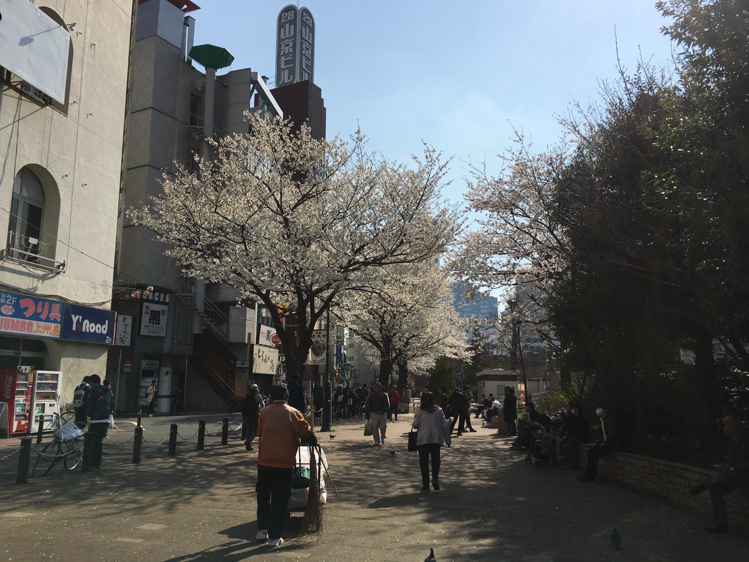 【池袋駅】春爛漫!桜を見に行こう!池袋東口の満開コースの池袋駅前公園3