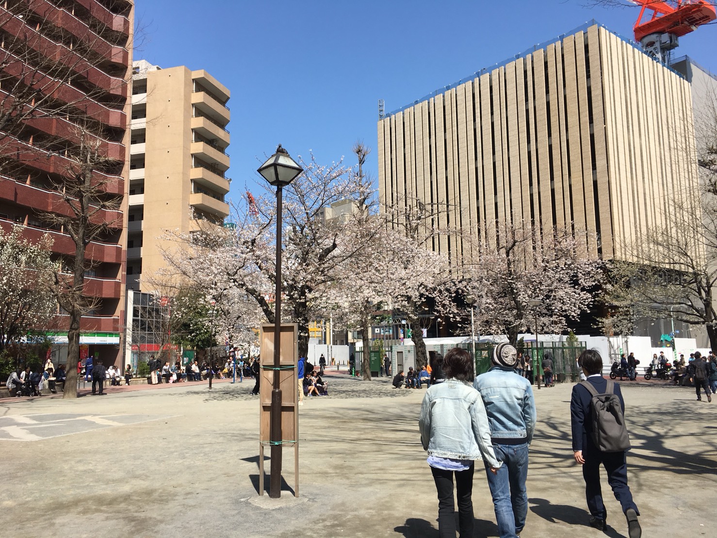 【池袋駅】春爛漫!桜を見に行こう!池袋東口の満開コースの中池袋公園1