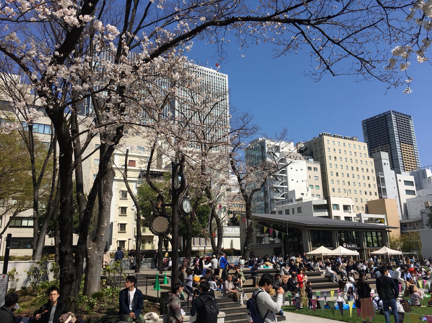 【池袋駅】春爛漫!桜を見に行こう!池袋東口の満開コースの南池袋公園2