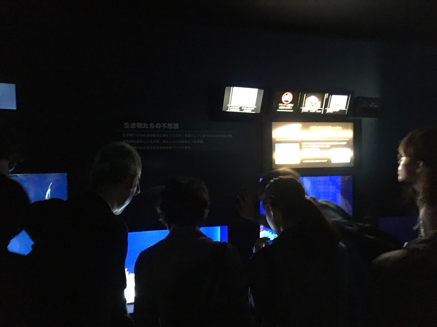 【池袋駅】「サンシャイン水族館」で癒されようよ!ほら早く!の水族館3