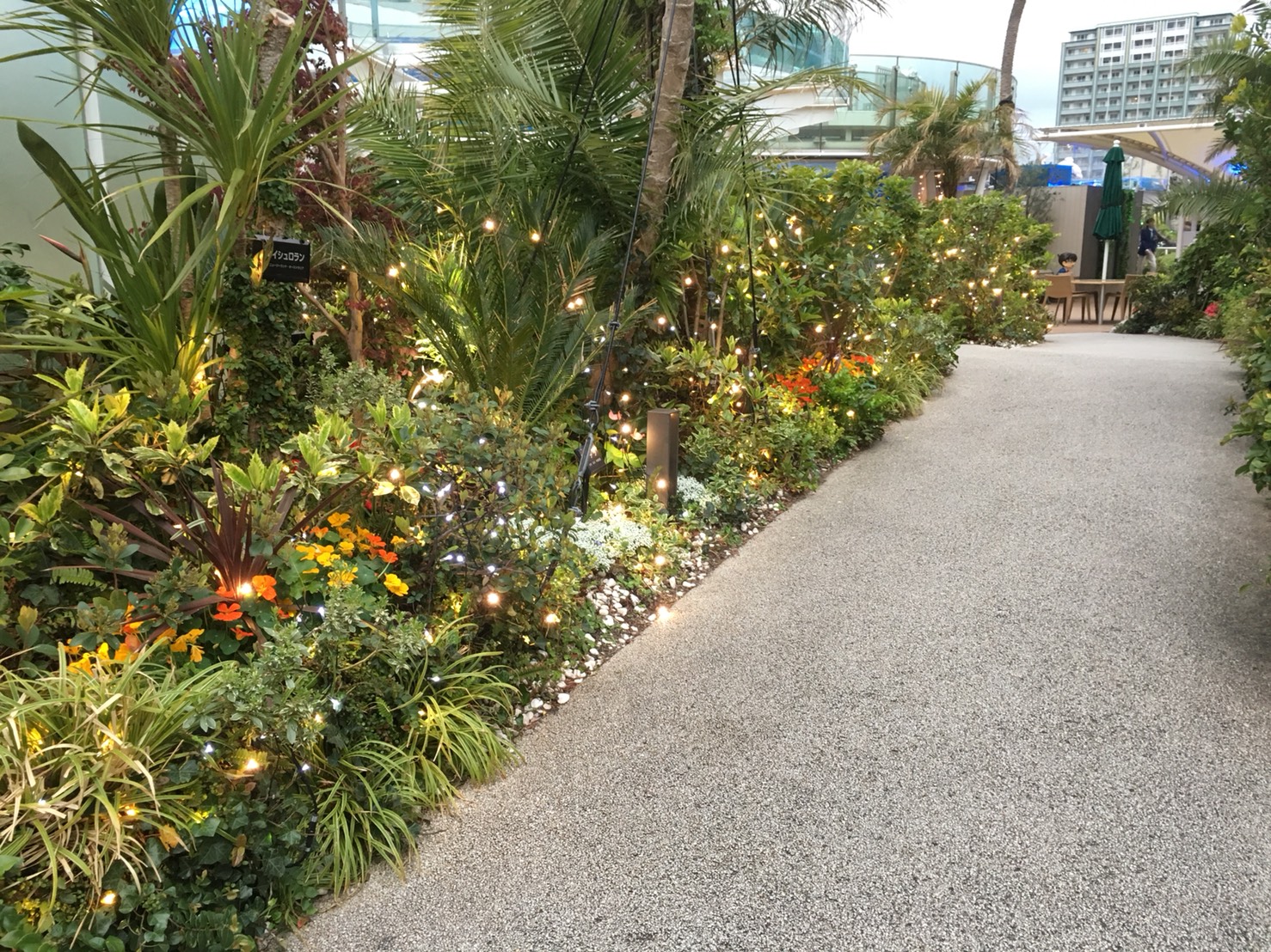 【池袋駅】「サンシャイン水族館」で癒されようよ!ほら早く!の屋上1