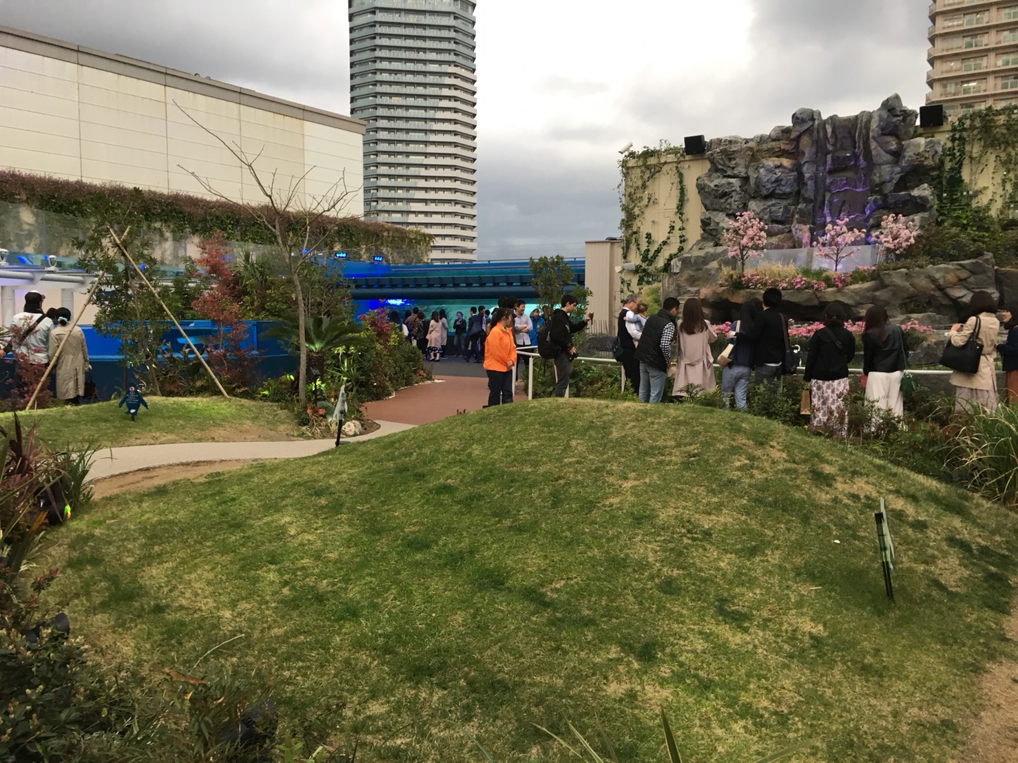 【池袋駅】「サンシャイン水族館」で癒されようよ!ほら早く!の屋上2
