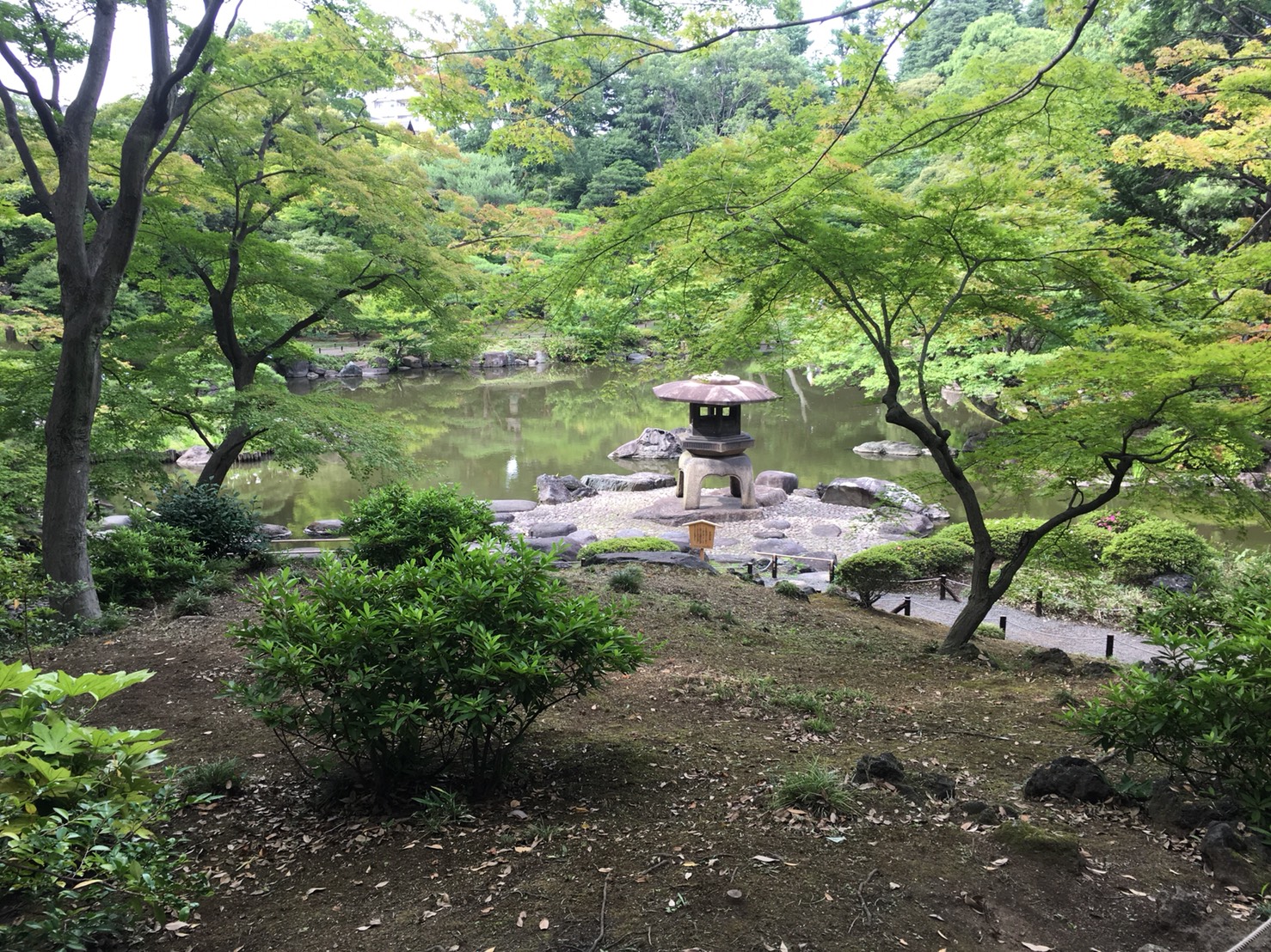 【上中里駅】バラが咲き誇る日英が混ざる庭園「旧古河庭園」の和庭園5