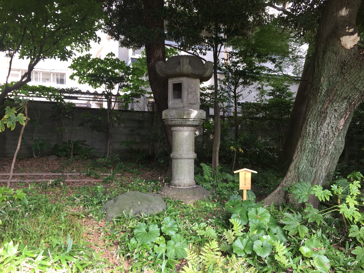 【上中里駅】バラが咲き誇る日英が混ざる庭園「旧古河庭園」の灯篭1