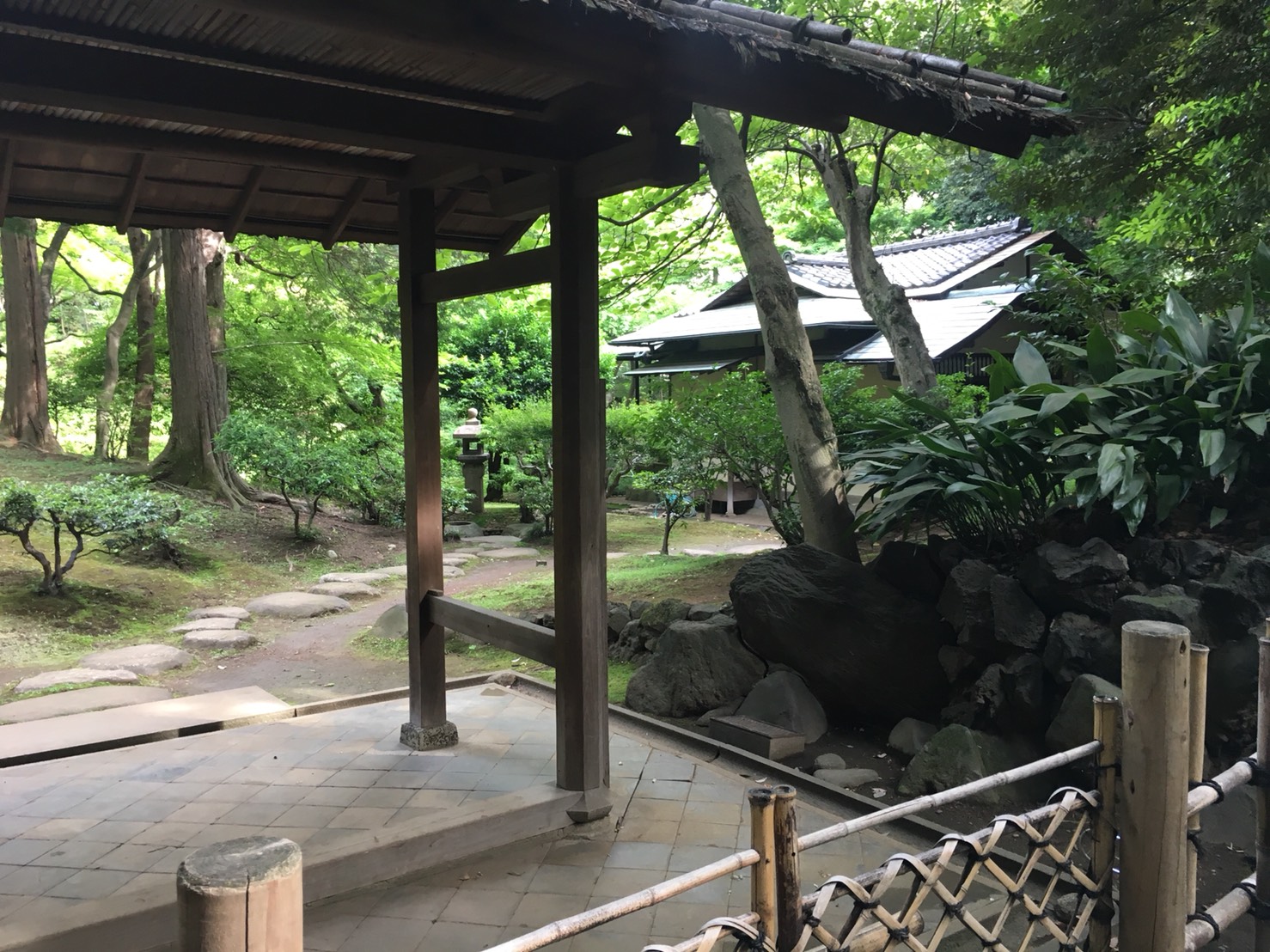 【上中里駅】バラが咲き誇る日英が混ざる庭園「旧古河庭園」の裏千家茶道教室1