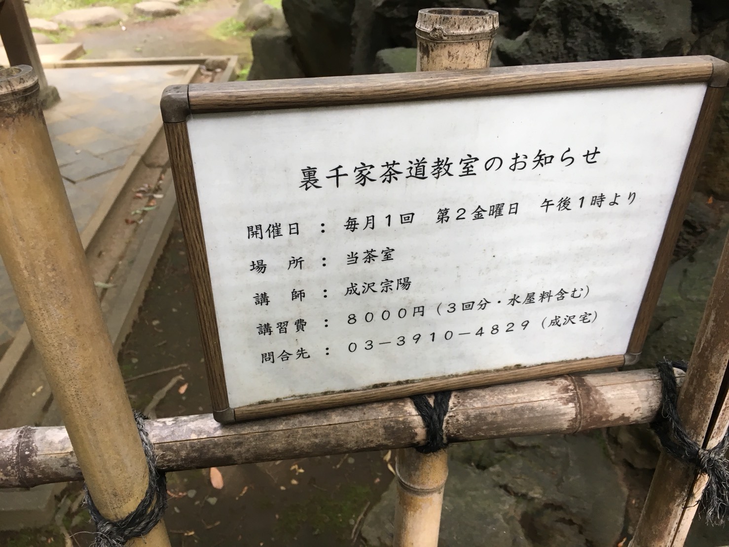 【上中里駅】バラが咲き誇る日英が混ざる庭園「旧古河庭園」の裏千家茶道教室2