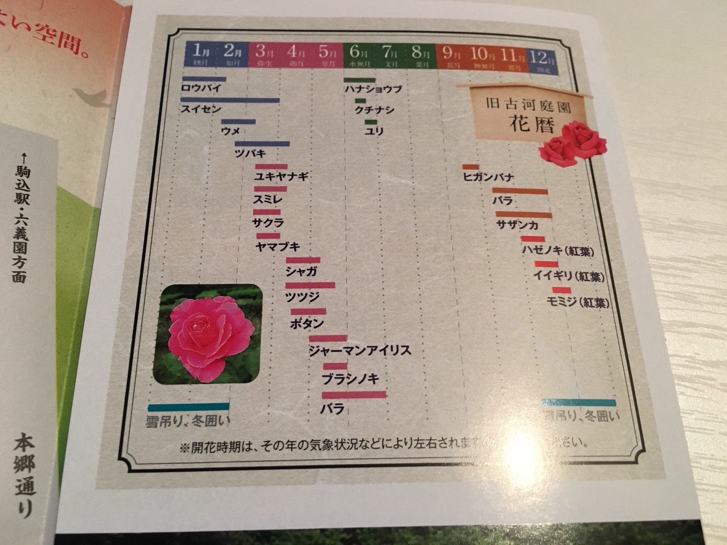 【上中里駅】バラが咲き誇る日英が混ざる庭園「旧古河庭園」の花暦