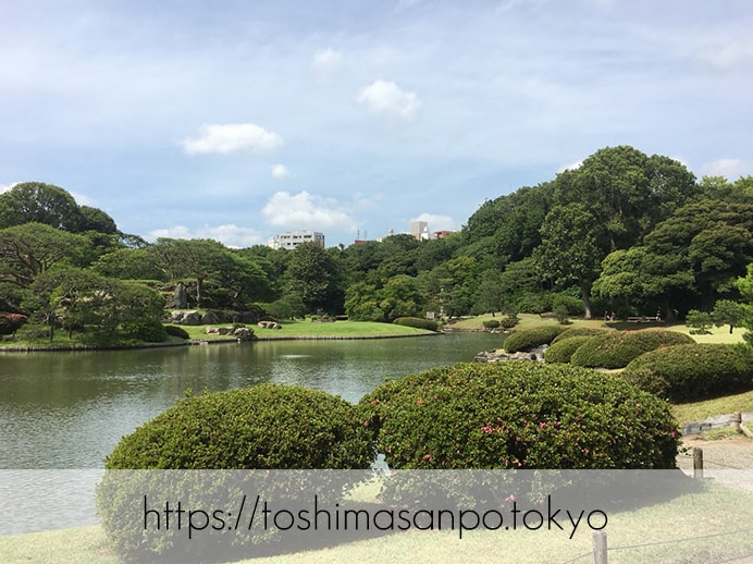 【駒込駅】歴史を学ぶいい日にしよう。和歌山市を模した江戸時代の庭園「六義園」で涼をとろう。の六義園の庭園内4