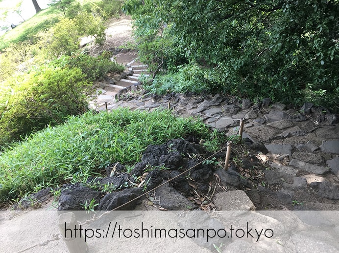 【駒込駅】歴史を学ぶいい日にしよう。和歌山市を模した江戸時代の庭園「六義園」で涼をとろう。の六義園の藤代峠2