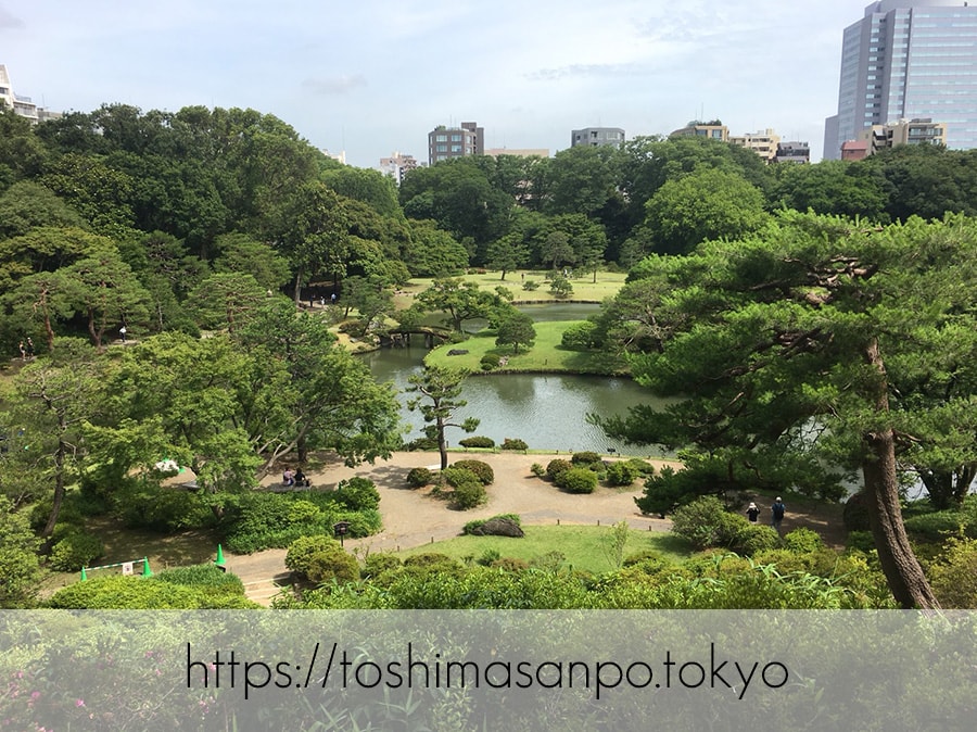 【駒込駅】歴史を学ぶいい日にしよう。和歌山市を模した江戸時代の庭園「六義園」で涼をとろう。 【駒込駅】歴史を学ぶいい日にしよう。和歌山市を模した江戸時代の庭園「六義園」で涼をとろう。
