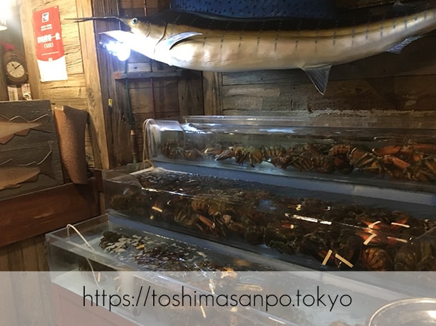 【上板橋駅】上質シーフードをロブスターの間近でいただく。水槽前で写真撮ろう「レッドロブスター」のロブスターの水槽