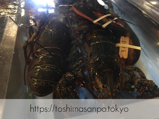 【上板橋駅】上質シーフードをロブスターの間近でいただく。水槽前で写真撮ろう「レッドロブスター」の3ポンドロブスター
