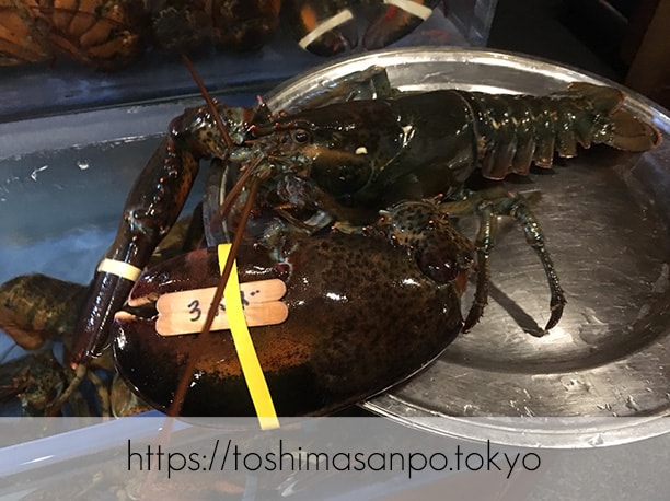 【上板橋駅】上質シーフードをロブスターの間近でいただく。水槽前で写真撮ろう「レッドロブスター」の3ポンドロブスター2