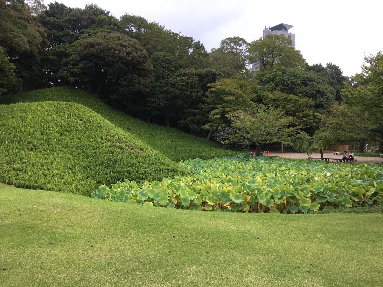 【飯田橋駅】江戸時代の中国趣味豊かな景観で一句「小石川後楽園」の小石川後楽園の庭園3