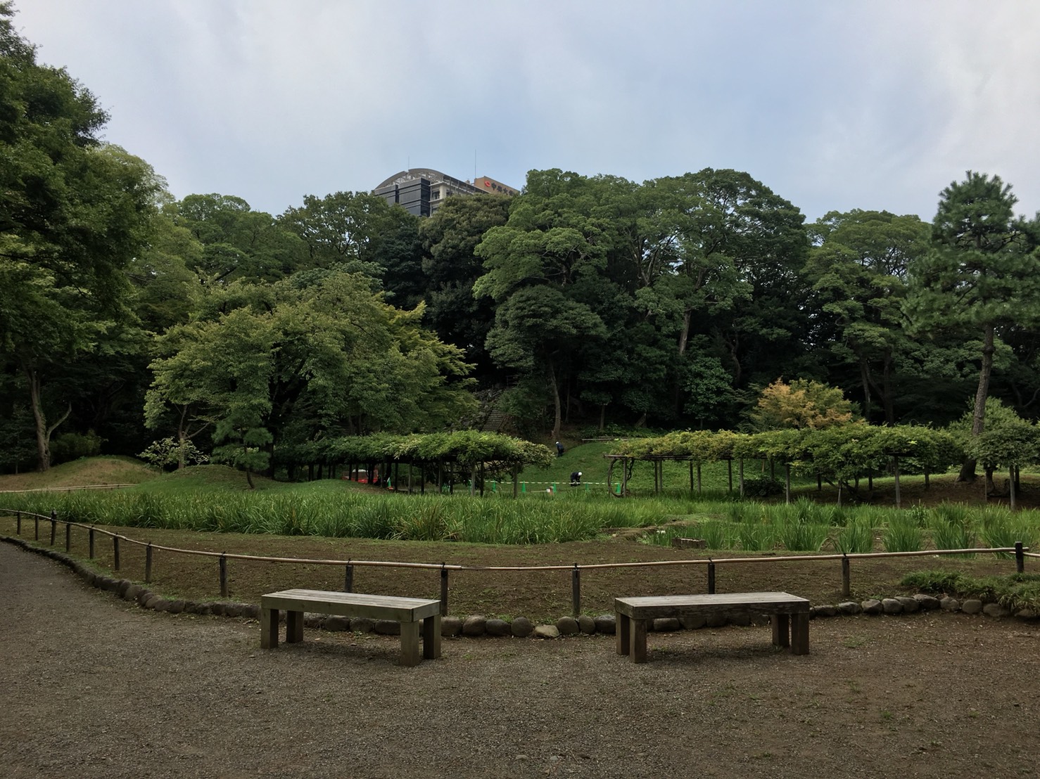 【飯田橋駅】江戸時代の中国趣味豊かな景観で一句「小石川後楽園」の庭園6