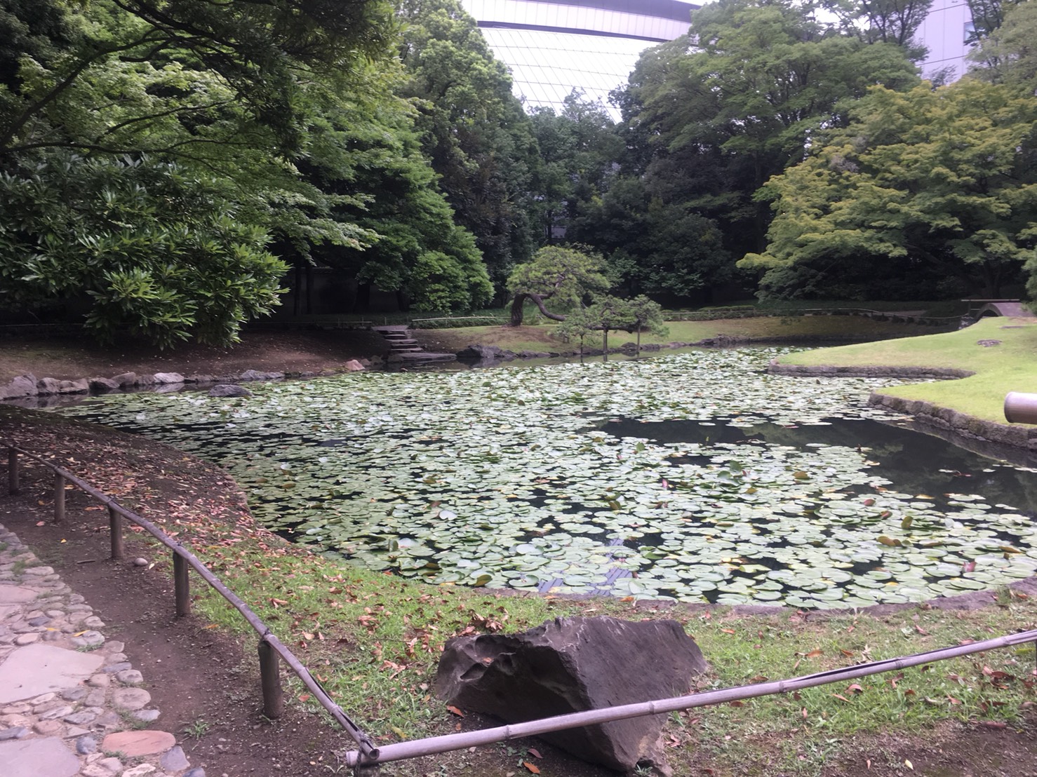 【飯田橋駅】江戸時代の中国趣味豊かな景観で一句「小石川後楽園」の内庭2