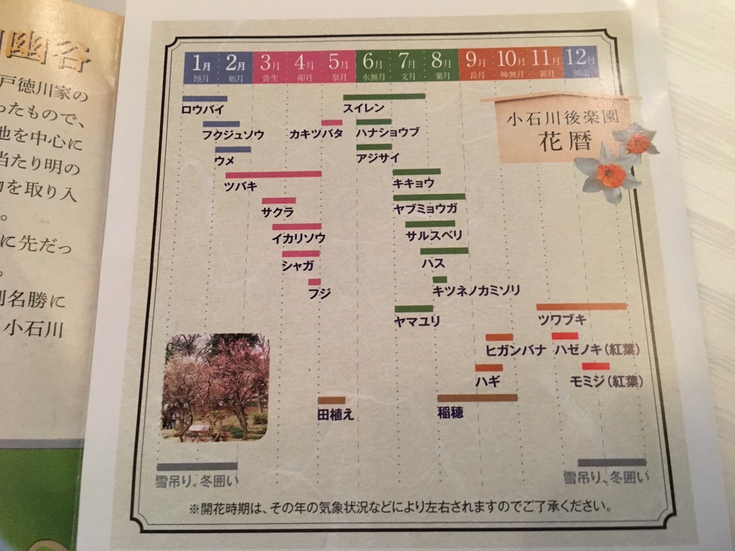 【飯田橋駅】江戸時代の中国趣味豊かな景観で一句「小石川後楽園」の花歴