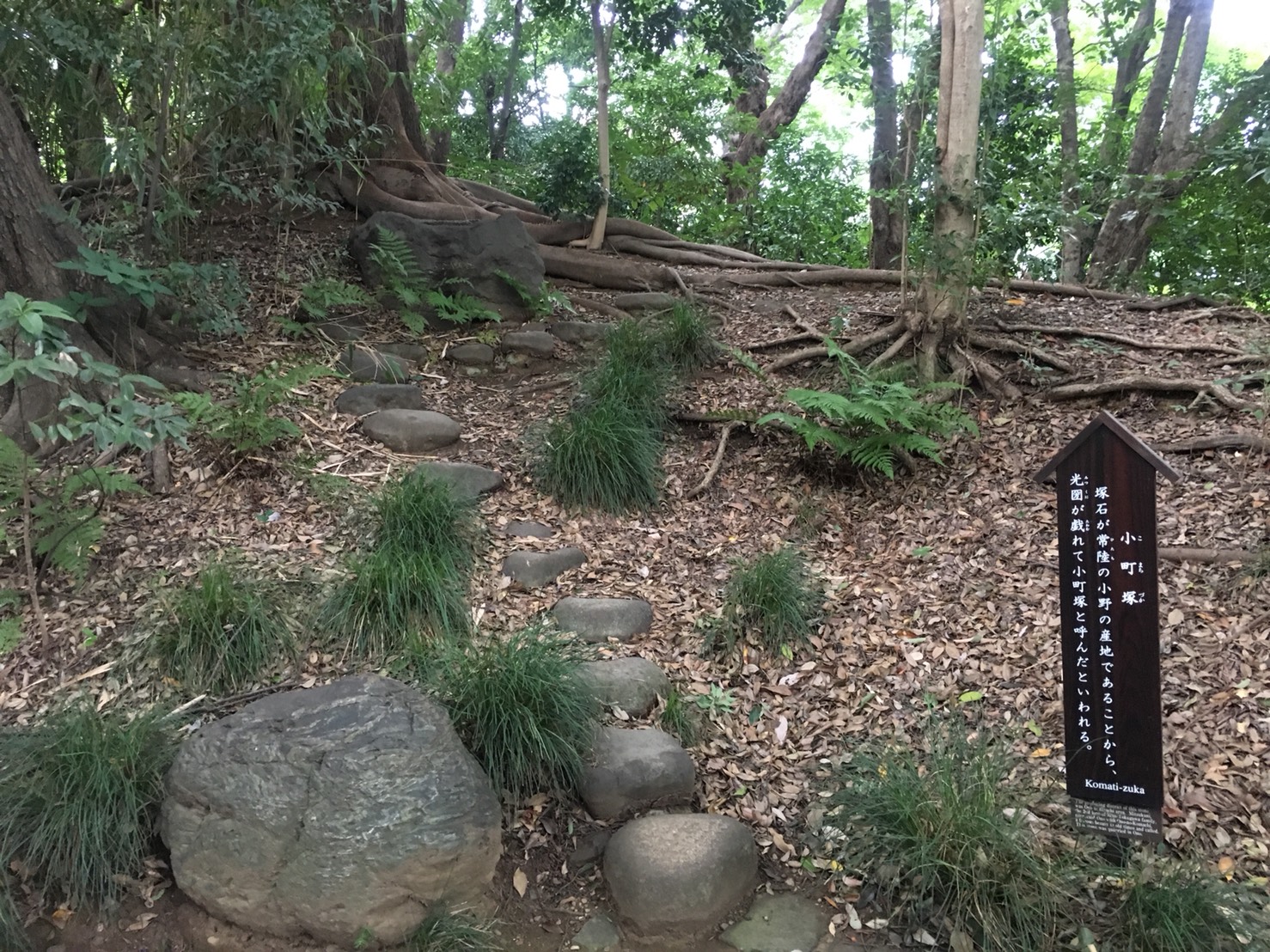 【飯田橋駅】江戸時代の中国趣味豊かな景観で一句「小石川後楽園」の庭園15