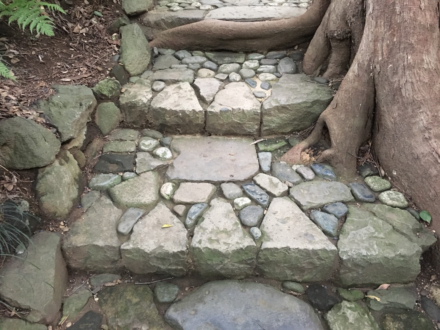 【飯田橋駅】江戸時代の中国趣味豊かな景観で一句「小石川後楽園」の庭園14