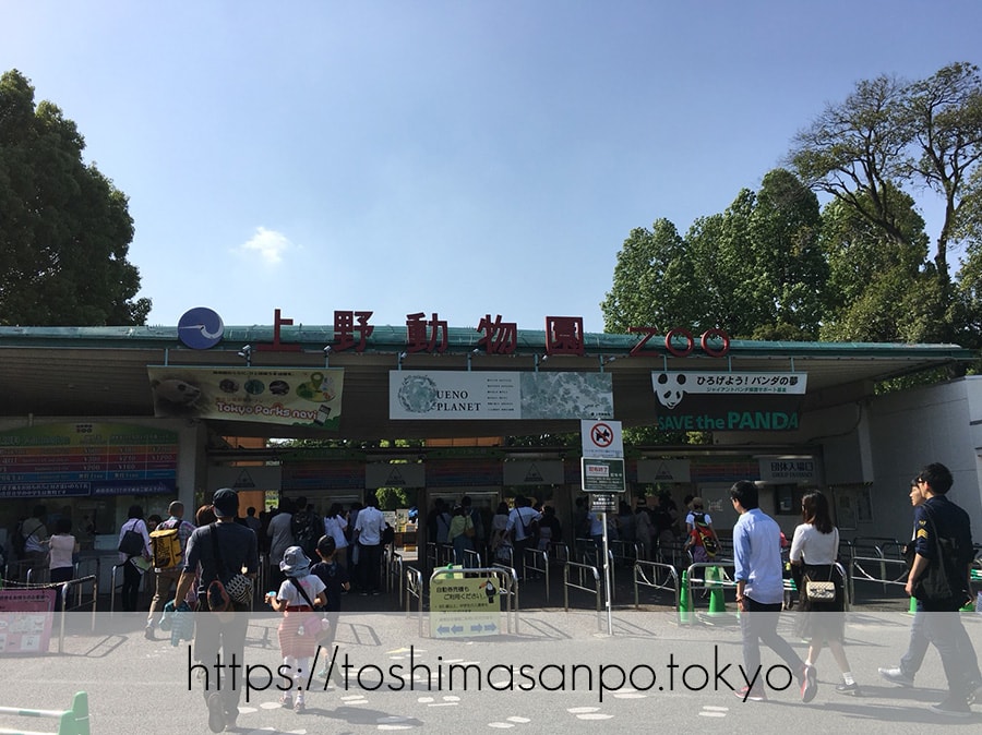 【上野駅】高速上野散歩を提案!大満足の絶品洋食「たいめいけん」のあとに上野動物園で超エンジョイの上野動物園の出入り口