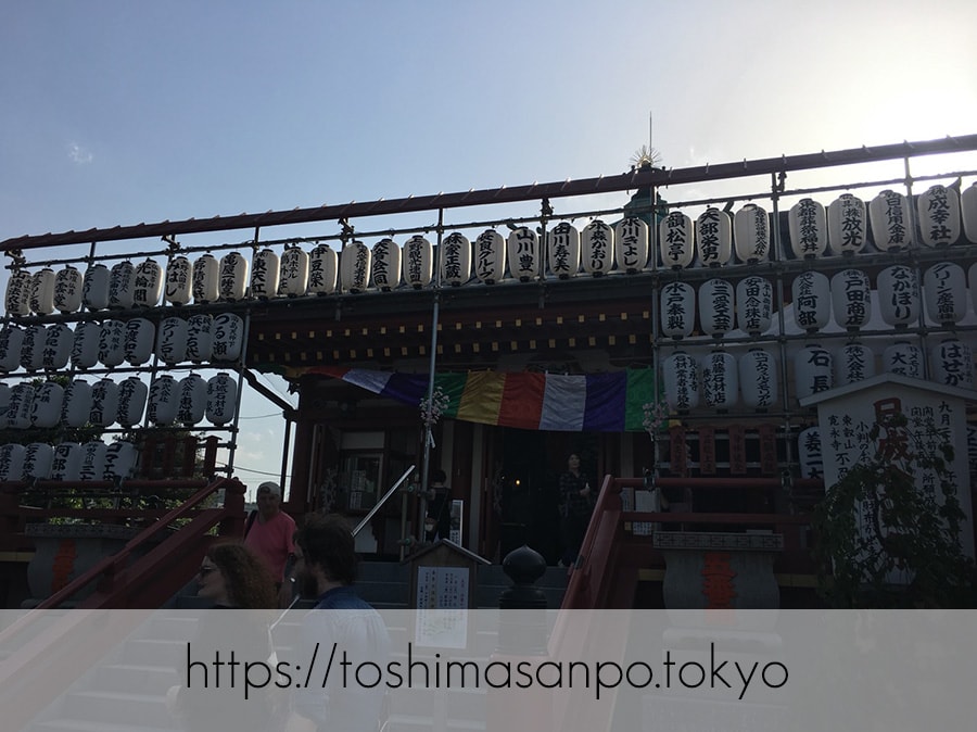 【上野駅】高速上野散歩を提案!大満足の絶品洋食「たいめいけん」のあとに上野動物園で超エンジョイの弁天堂1
