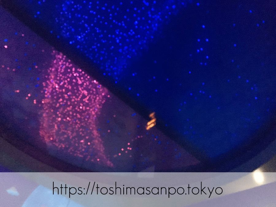 【池袋駅】59Fの夜景!ハワイアン「ジンジャーズビーチ サンシャイン」の出入口