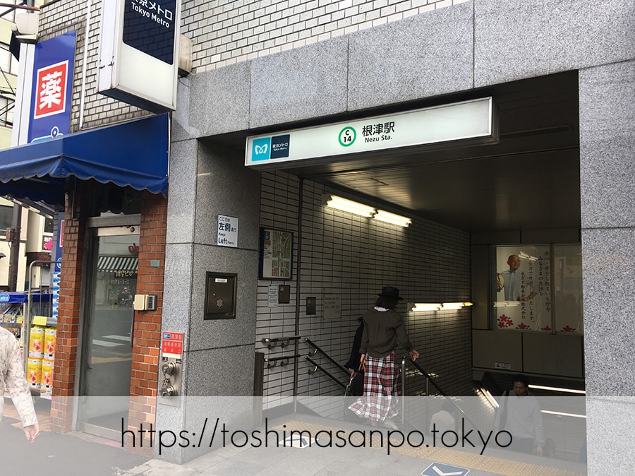 【根津駅】「根津神社」で満開「文京つつじまつり」5月6日まで開催中。「八重垣煎餅」でつつじ煎餅をお土産に♪の最寄駅根津駅