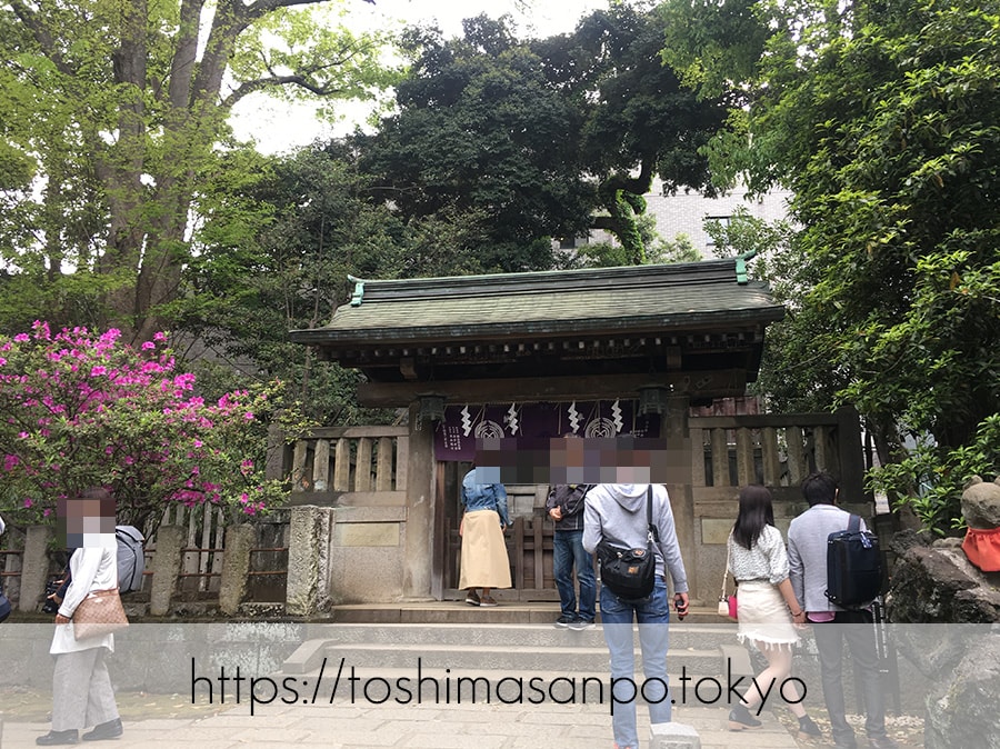 【根津駅】「根津神社」で満開「文京つつじまつり」5月6日まで開催中。「八重垣煎餅」でつつじ煎餅をお土産に♪の根津神社の駒込稲荷