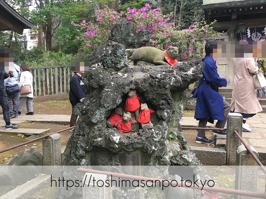 【根津駅】「根津神社」で満開「文京つつじまつり」5月6日まで開催中。「八重垣煎餅」でつつじ煎餅をお土産に♪の根津神社の塞大神碑