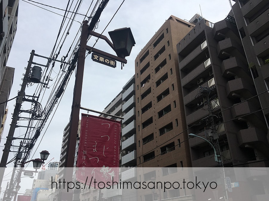 【根津駅】「根津神社」で満開「文京つつじまつり」5月6日まで開催中。「八重垣煎餅」でつつじ煎餅をお土産に♪の不忍通りの街灯