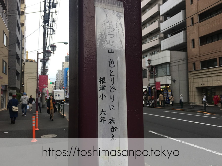 【根津駅】「根津神社」で満開「文京つつじまつり」5月6日まで開催中。「八重垣煎餅」でつつじ煎餅をお土産に♪の不忍通りにある俳句1