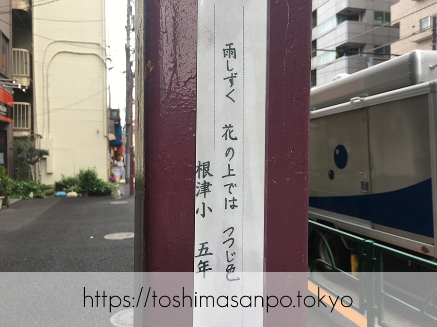 【根津駅】「根津神社」で満開「文京つつじまつり」5月6日まで開催中。「八重垣煎餅」でつつじ煎餅をお土産に♪の不忍通りにある俳句2