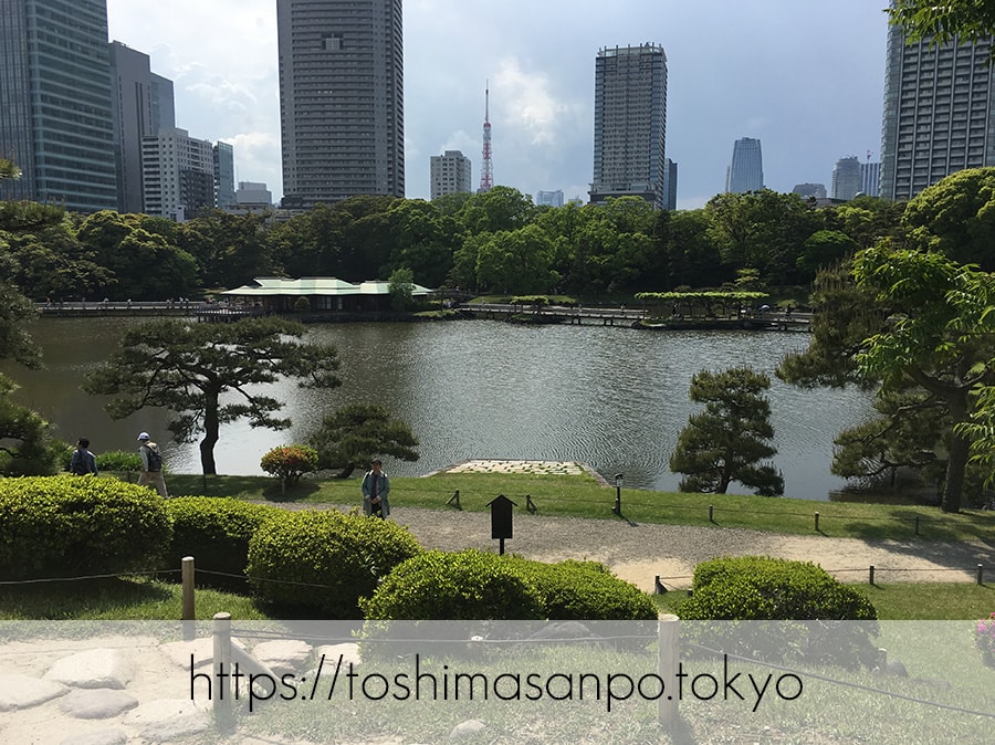 【新橋駅】水上バスにも乗れる!東京湾から繋がる江戸時代の広大な庭園「浜離宮恩賜庭園」の風情。 【新橋駅】水上バスにも乗れる!東京湾から繋がる江戸時代の広大な庭園「浜離宮恩賜庭園」の風情。