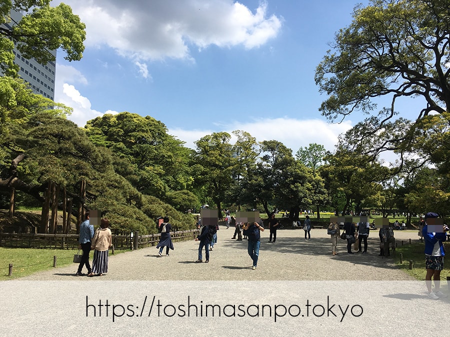 【汐留駅】水上バスにも乗れる!東京湾から繋がる江戸時代の広大な庭園「浜離宮恩賜庭園」の風情。の浜離宮恩賜庭園に入園してすぐの眺め