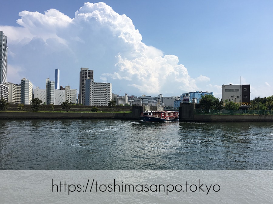 【汐留駅】水上バスにも乗れる!東京湾から繋がる江戸時代の広大な庭園「浜離宮恩賜庭園」の風情。の浜離宮恩賜庭園の水上バス1