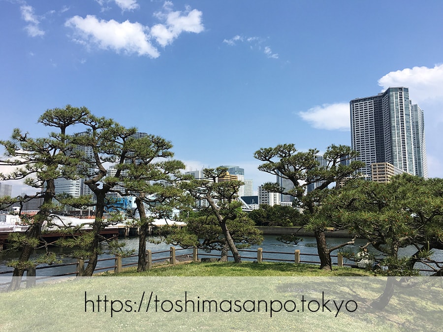 【汐留駅】水上バスにも乗れる!東京湾から繋がる江戸時代の広大な庭園「浜離宮恩賜庭園」の風情。の浜離宮恩賜庭園の水上バス2