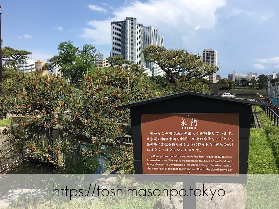 【汐留駅】水上バスにも乗れる!東京湾から繋がる江戸時代の広大な庭園「浜離宮恩賜庭園」の風情。の浜離宮恩賜庭園の横堀水門1