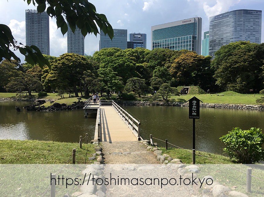 【汐留駅】水上バスにも乗れる!東京湾から繋がる江戸時代の広大な庭園「浜離宮恩賜庭園」の風情。の浜離宮恩賜庭園の海手お伝い橋