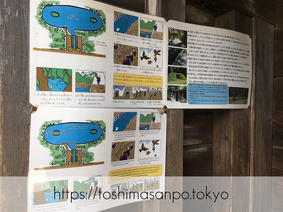【汐留駅】水上バスにも乗れる!東京湾から繋がる江戸時代の広大な庭園「浜離宮恩賜庭園」の風情。の浜離宮恩賜庭園の鴨狩の説明