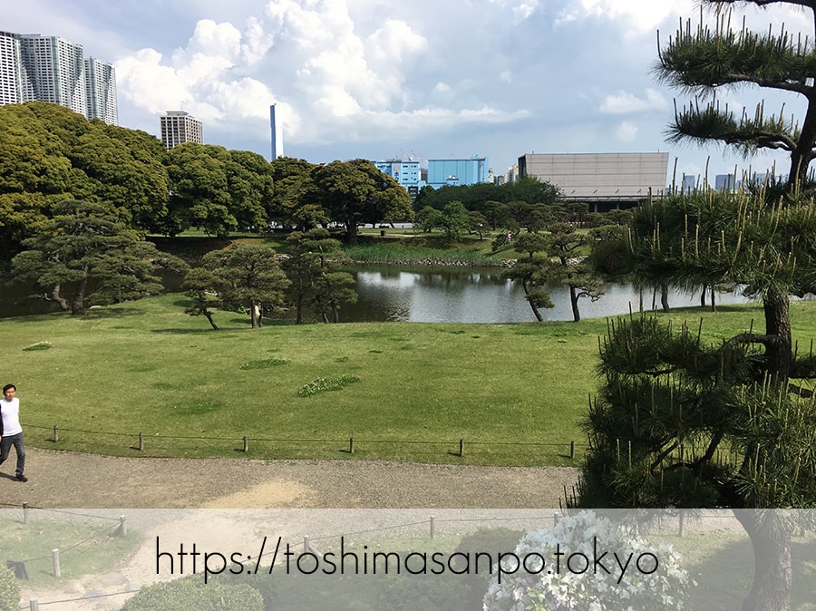 【汐留駅】水上バスにも乗れる!東京湾から繋がる江戸時代の広大な庭園「浜離宮恩賜庭園」の風情。の浜離宮恩賜庭園の御亭山から見た景2