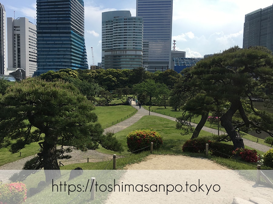 【汐留駅】水上バスにも乗れる!東京湾から繋がる江戸時代の広大な庭園「浜離宮恩賜庭園」の風情。の浜離宮恩賜庭園の御亭山から見た景3