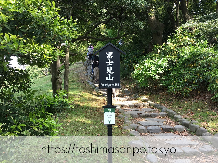 【汐留駅】水上バスにも乗れる!東京湾から繋がる江戸時代の広大な庭園「浜離宮恩賜庭園」の風情。の浜離宮恩賜庭園の富士見山