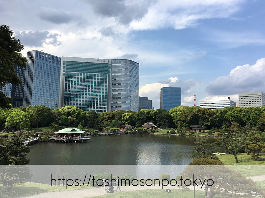 【汐留駅】水上バスにも乗れる!東京湾から繋がる江戸時代の広大な庭園「浜離宮恩賜庭園」の風情。の浜離宮恩賜庭園の富士見山から見た景色1